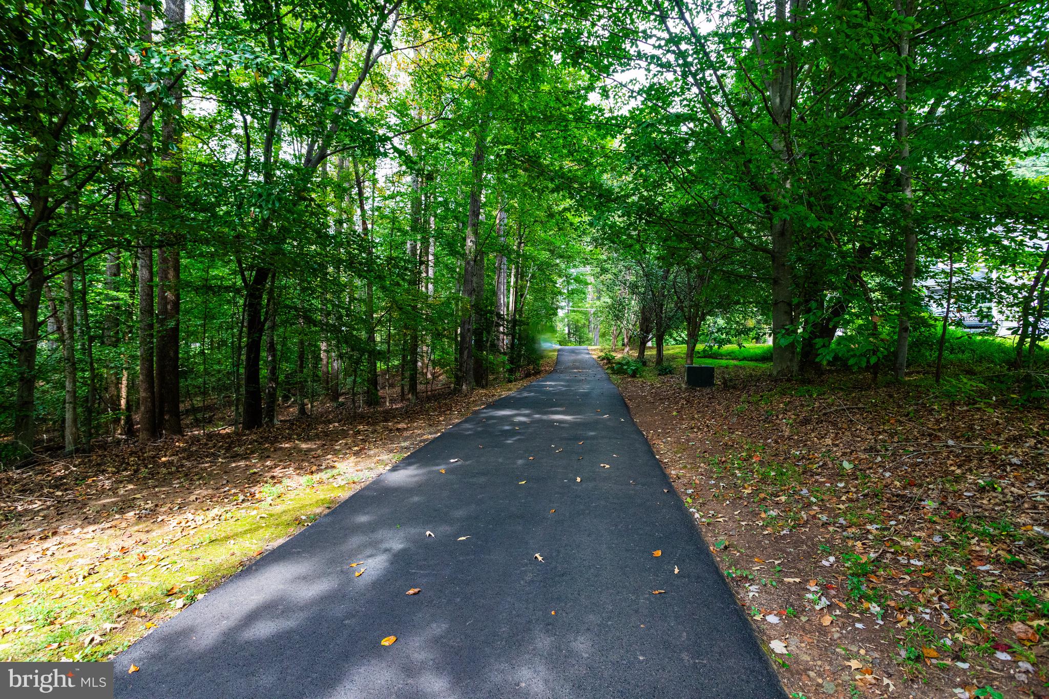 11901 Chapel Road Clifton, VA 20124 - Photo 91 of 98 Driveway to Road