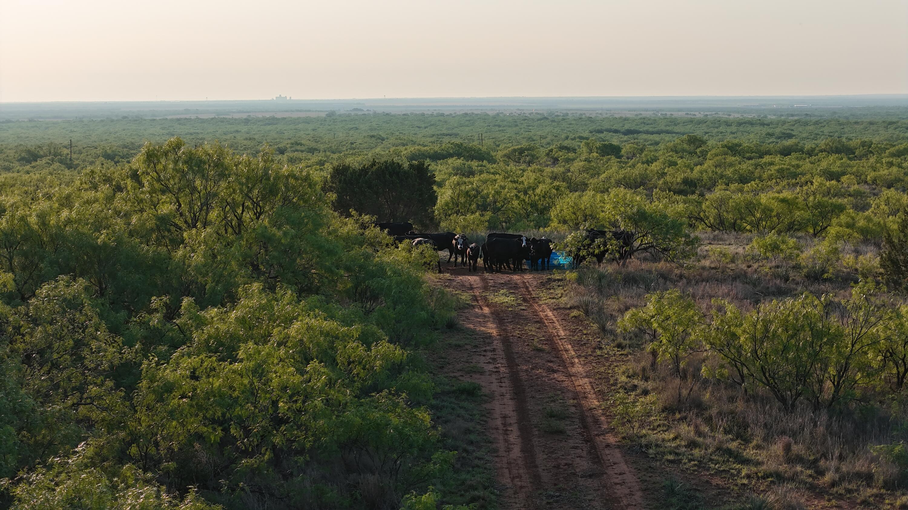 92 Texas Hamlin, TX 79520 - Photo 22 of 63 DJI_20260528073057_0102_D