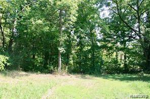 V/l Brophy Road Howell, MI 48855 - Photo 3 of 4