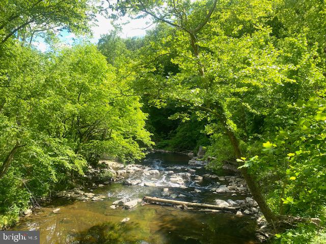 1900 Lyttonsville Road, Unit 1217 Silver Spring, MD 20910 - Photo 18 of 21 Rock Creek Park