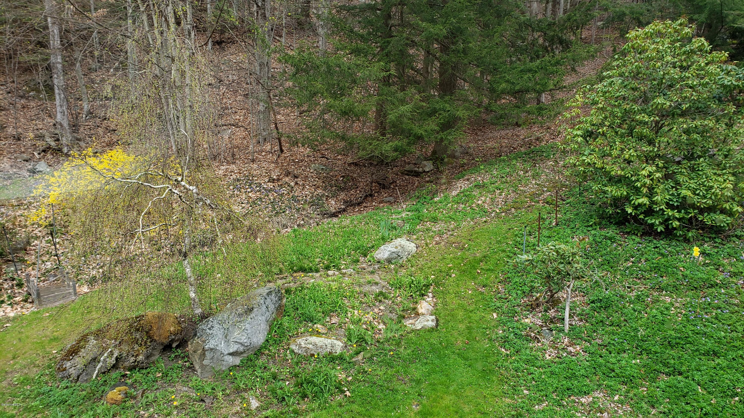 518 Cold Spring Road Williamstown, MA 01267 - Photo 13 of 42 Back Yard into 2 acres