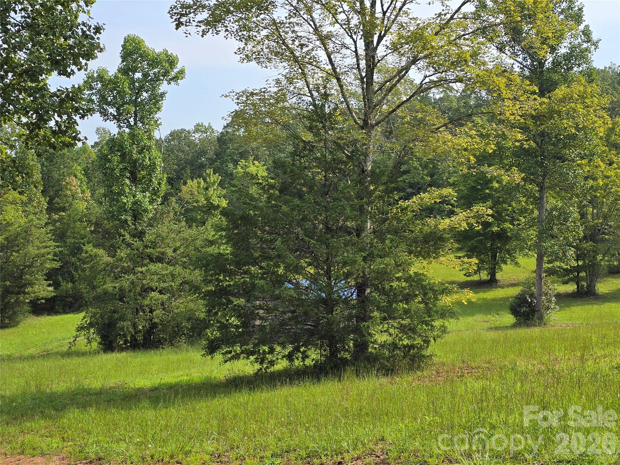 1696 Old Cc Road Rutherfordton, NC 28139 - Photo 5 of 5