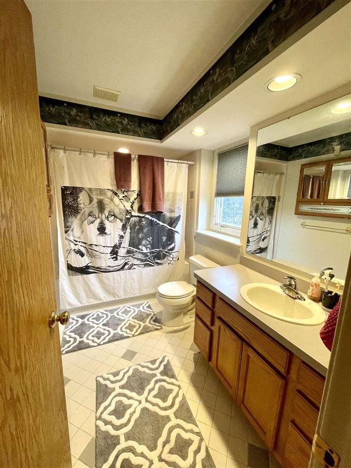 65633 Mt Vernon Road Washington, MI 48095 - Photo 23 of 59 Master Bath