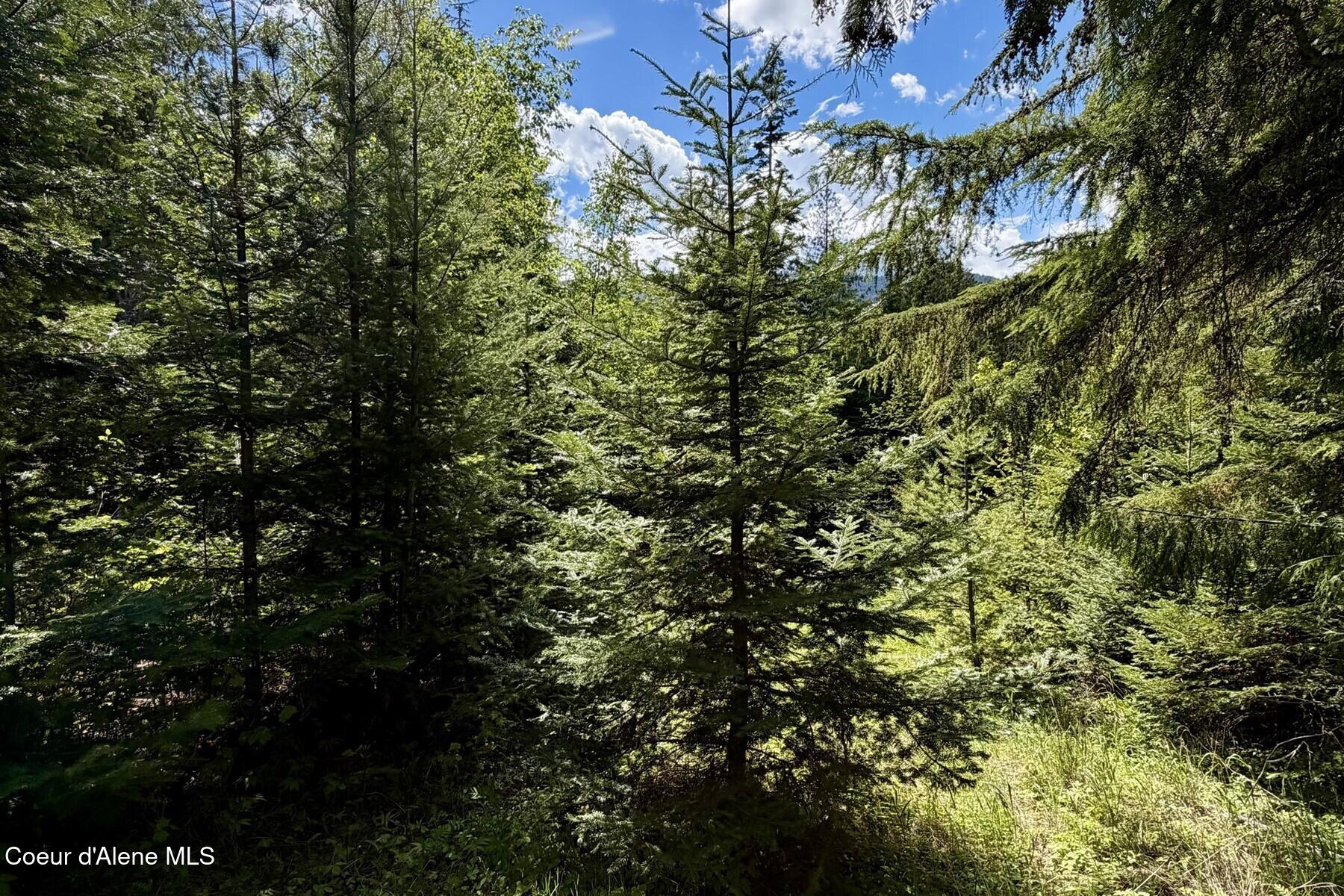 Nna Lot 4 Nna Road Sagle, ID 83860 - Photo 36 of 36 036_IMG_1440