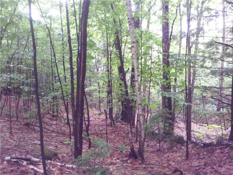 0 Merrifield Road Limington, ME 04049 - Photo 7 of 15 Photo