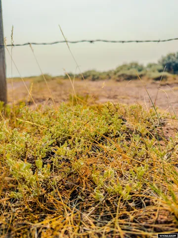 $240,000 | 281 County Road 281, Robertson, WY 82944