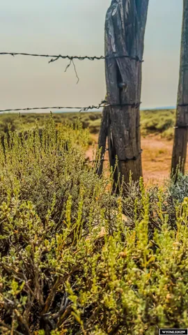 $240,000 | 281 County Road 281, Robertson, WY 82944