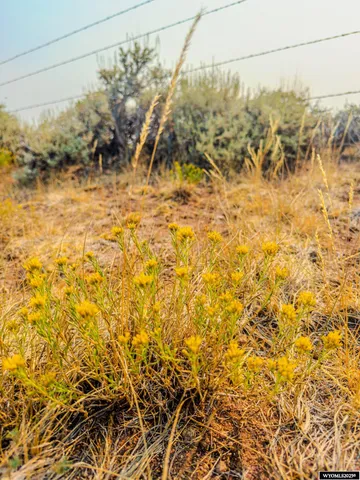 $240,000 | 281 County Road 281, Robertson, WY 82944