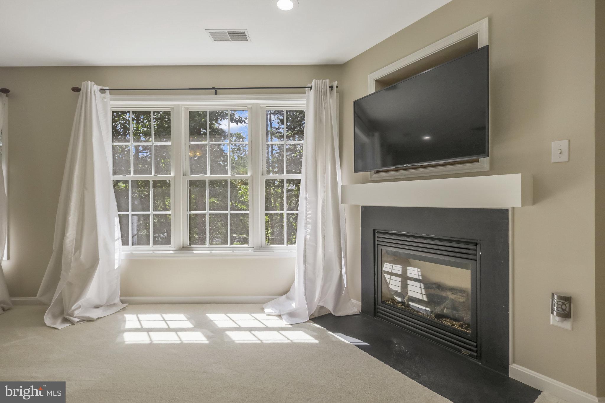 7715 Ridgepark Court Springfield, VA 22153 - Photo 49 of 69 Gas Fireplace