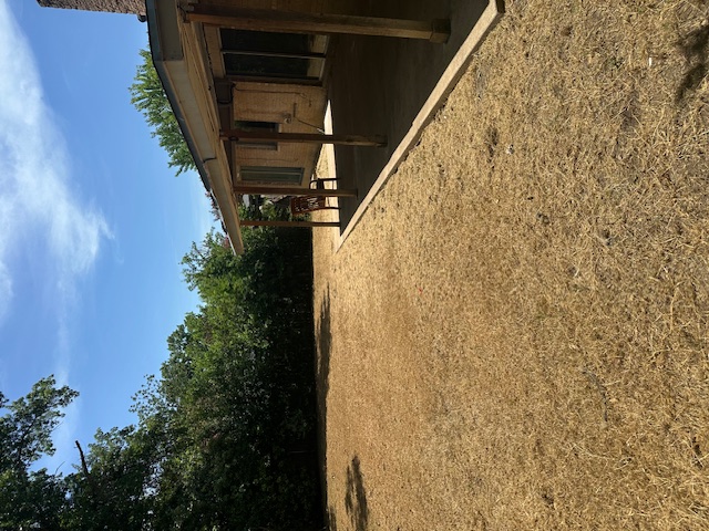 1001 Ridgeline Drive Round Rock, TX 78664 - Photo 11 of 11 View of yard