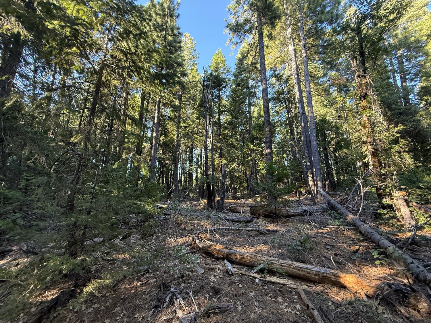 0 Chalk Bluff Road Nevada City, CA 95959 - Photo 8 of 14 Gallery Image 8