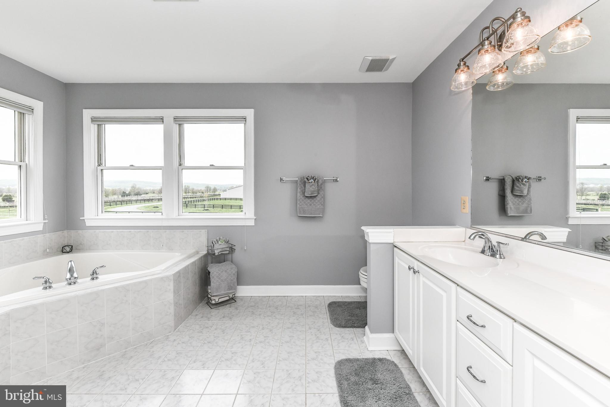15569 Limestone School Road Leesburg, VA 20176 - Photo 31 of 63 Gallery Image 31
