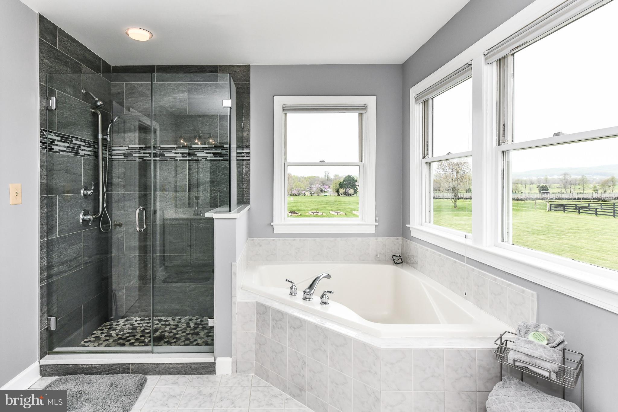 15569 Limestone School Road Leesburg, VA 20176 - Photo 33 of 63 Gallery Image 33
