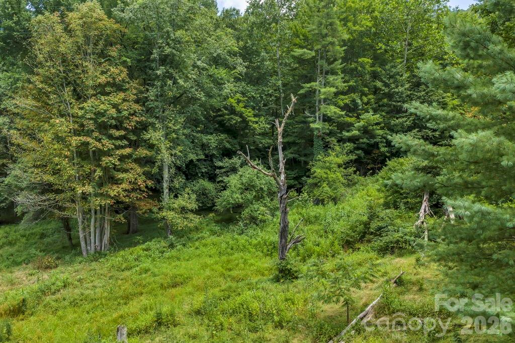 Tbd Bethel Road Sugar Grove, NC 28679 - Photo 10 of 19 Gallery Image 10