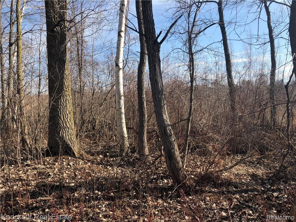 0 East Rathbun Birch Run, MI 48415 - Photo 6 of 10