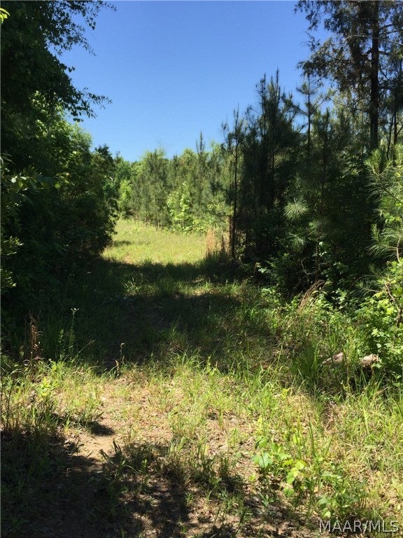O O Naftel Road Ramer, AL 36069 - Photo 12 of 25 Gallery Image 12