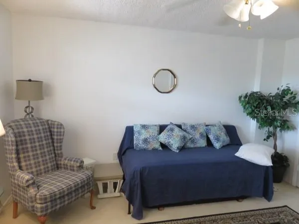 a living room with furniture and a potted plant