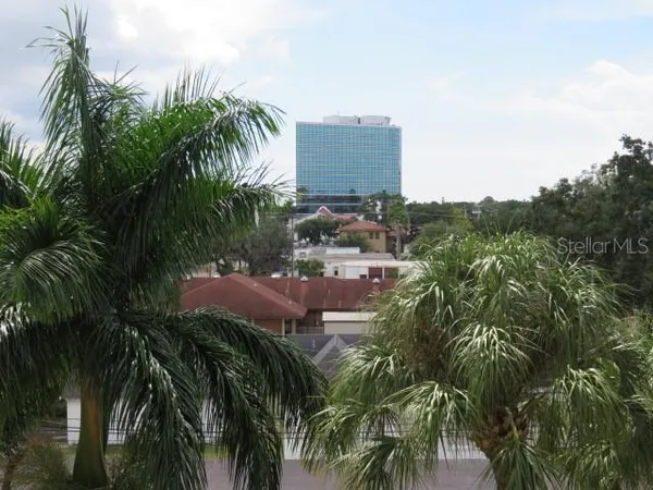 a picture of palm trees