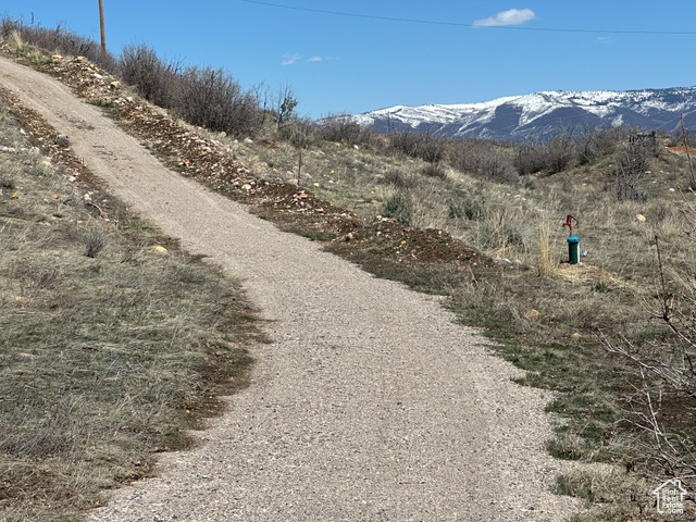 5565 Big Hollow Road Fairview, UT 84629 - Photo 7 of 22