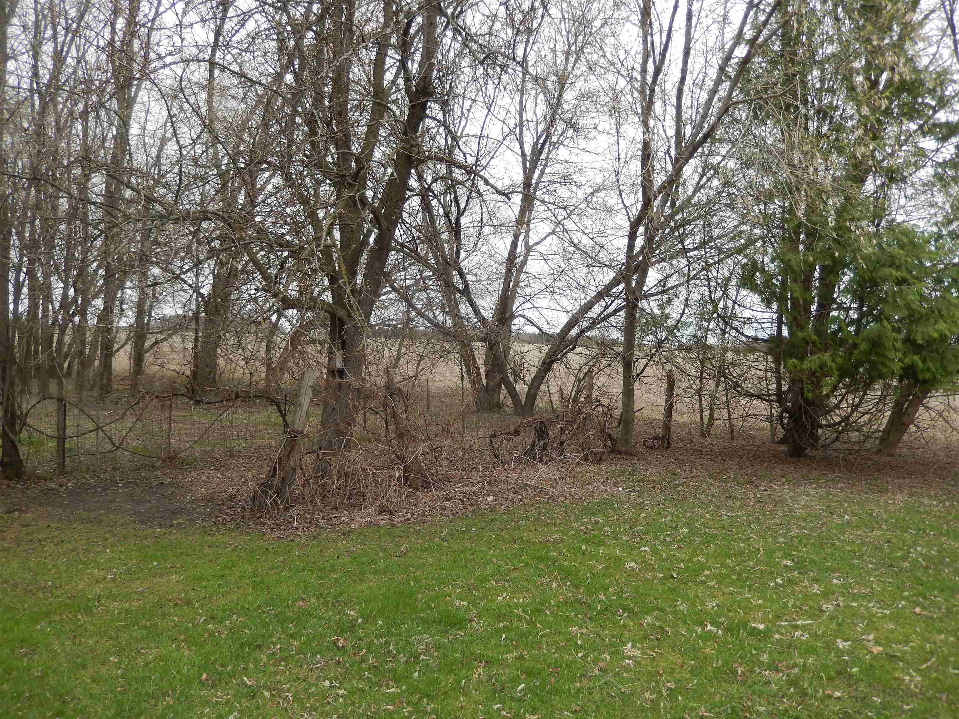 2450 Putnam Road Whittemore, MI 48770 - Photo 36 of 48 1899579-35.JPG