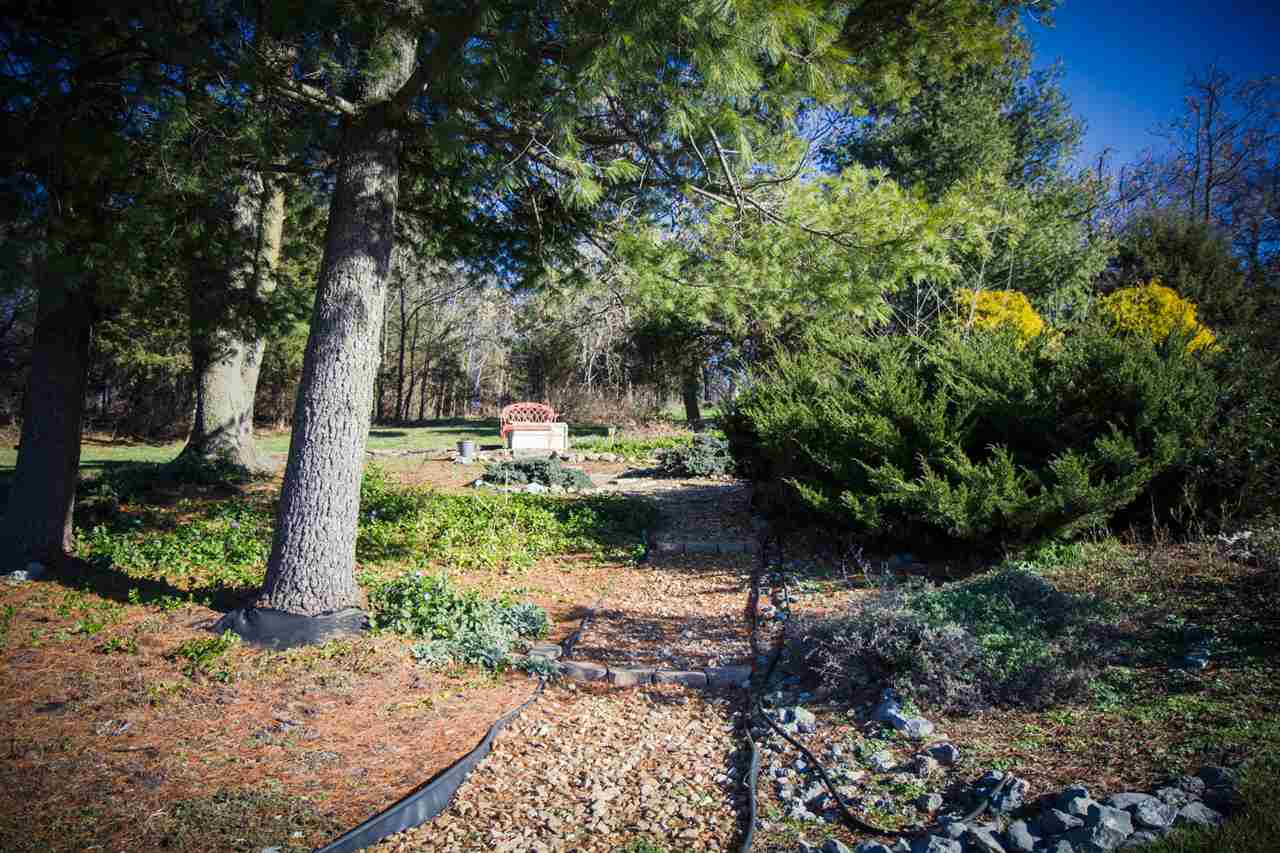 9270 Daphna Road Broadway, VA 22815 - Photo 44 of 49 Gallery Image 44