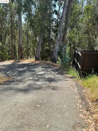 a view of a backyard with trees