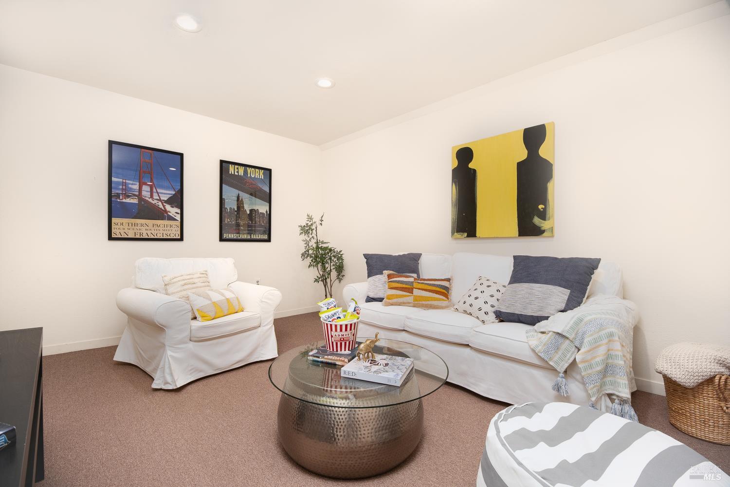 15 Ravine Way Novato, CA 94947 - Photo 36 of 48 basement bonus room (movie room, wine cellar)