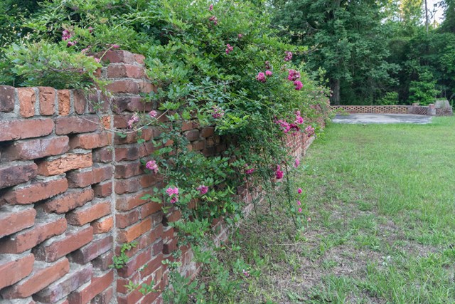 4003 Pope Road Midland, GA 31820 - Photo 5 of 22 Gallery Image 5