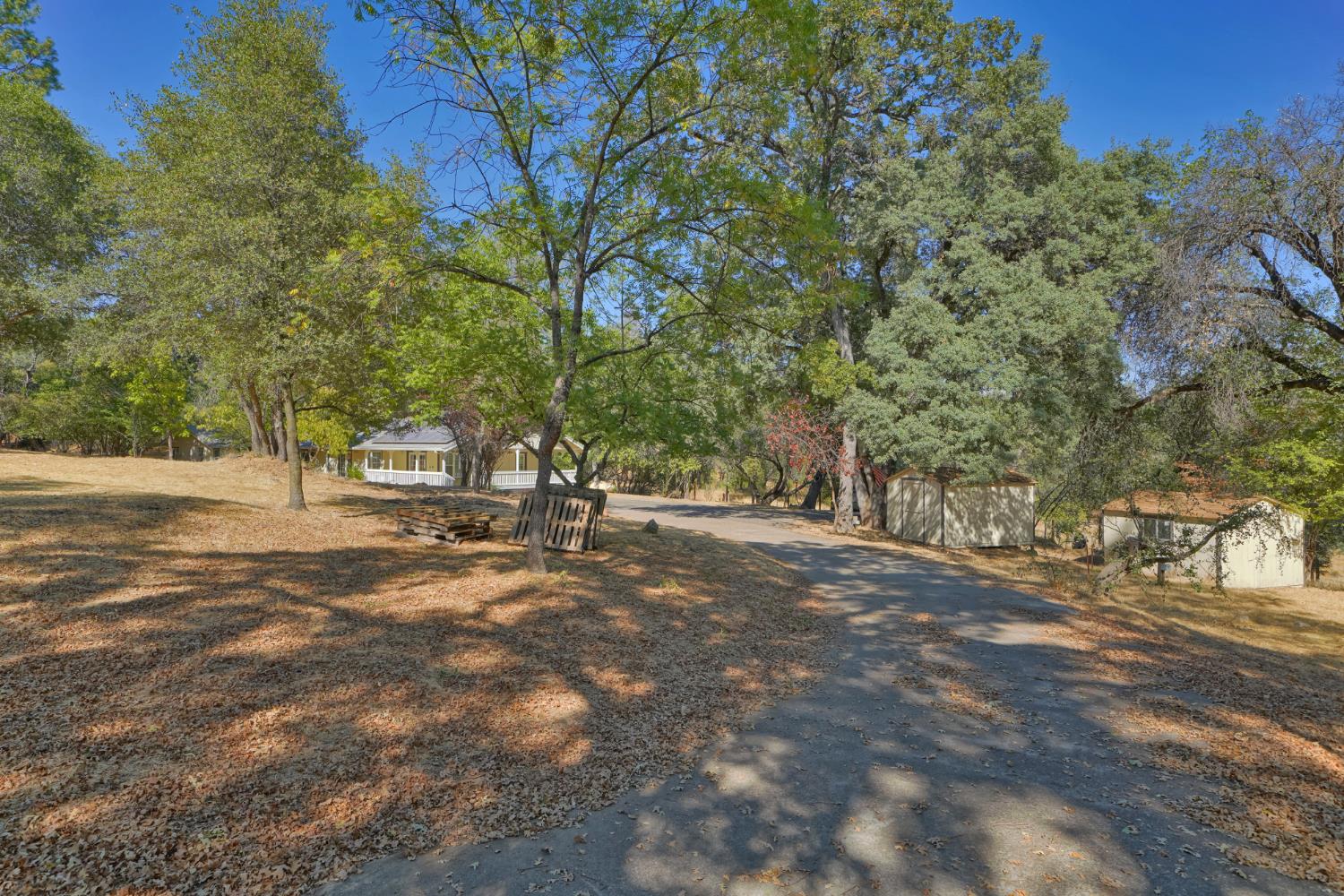 2446 Prado Vista Road Placerville, CA 95667 - Photo 56 of 62