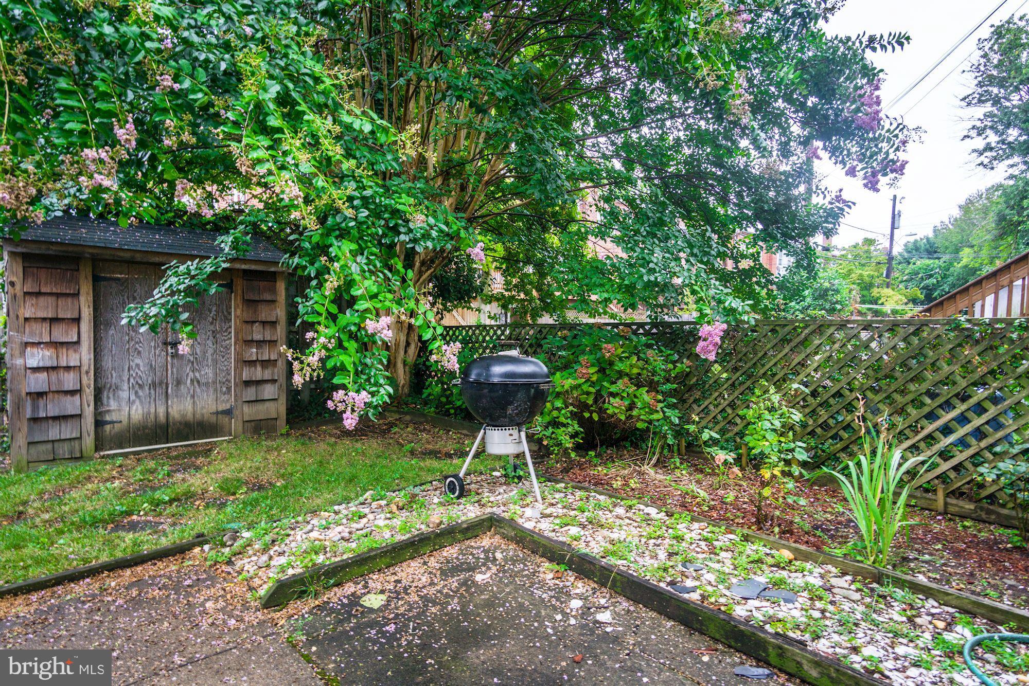 2335 40th Street Northwest, Unit 3 Washington, DC 20007 - Photo 22 of 22 Common area