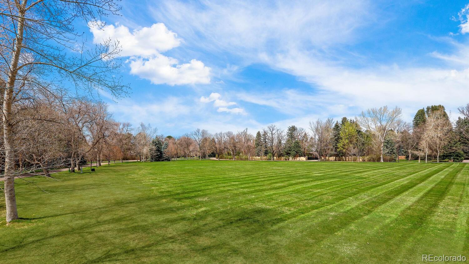 10 Sunset Drive Englewood, CO 80113 - Photo 5 of 11
