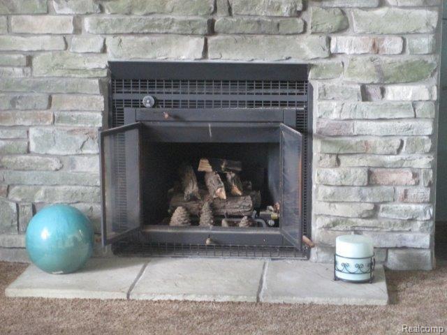 45 South Wilder Road Lapeer, MI 48446 - Photo 6 of 42 Fireplace.jpg