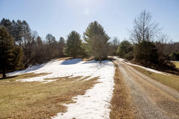a view of a yard with trees