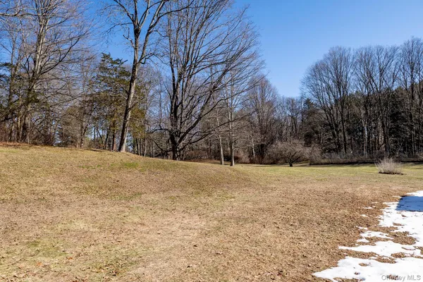 a view of large yard with trees