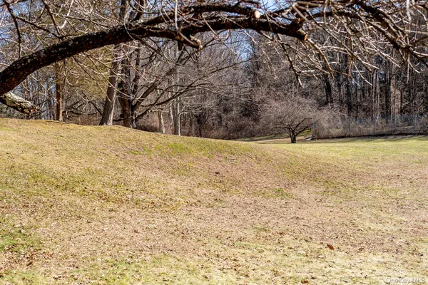 a view of a yard with a tree