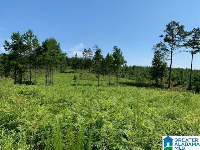 Crossover Road Cropwell, AL 35054 - Photo 1 of 6 Gallery Image 1