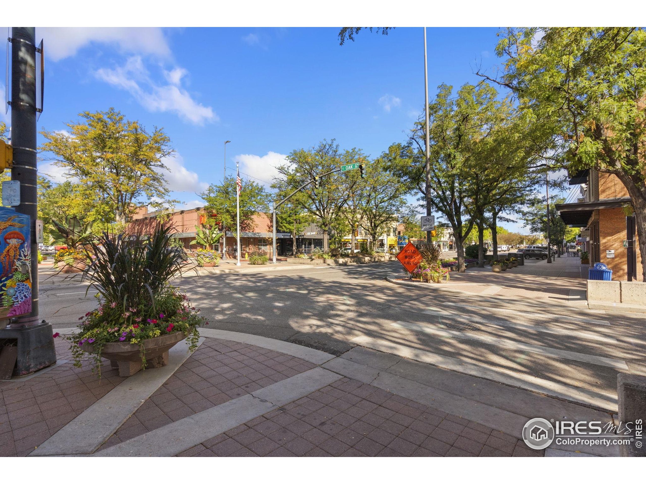 200 South College Avenue, Unit 201 Fort Collins, CO 80524 - Photo 19 of 19 a view of road with trees