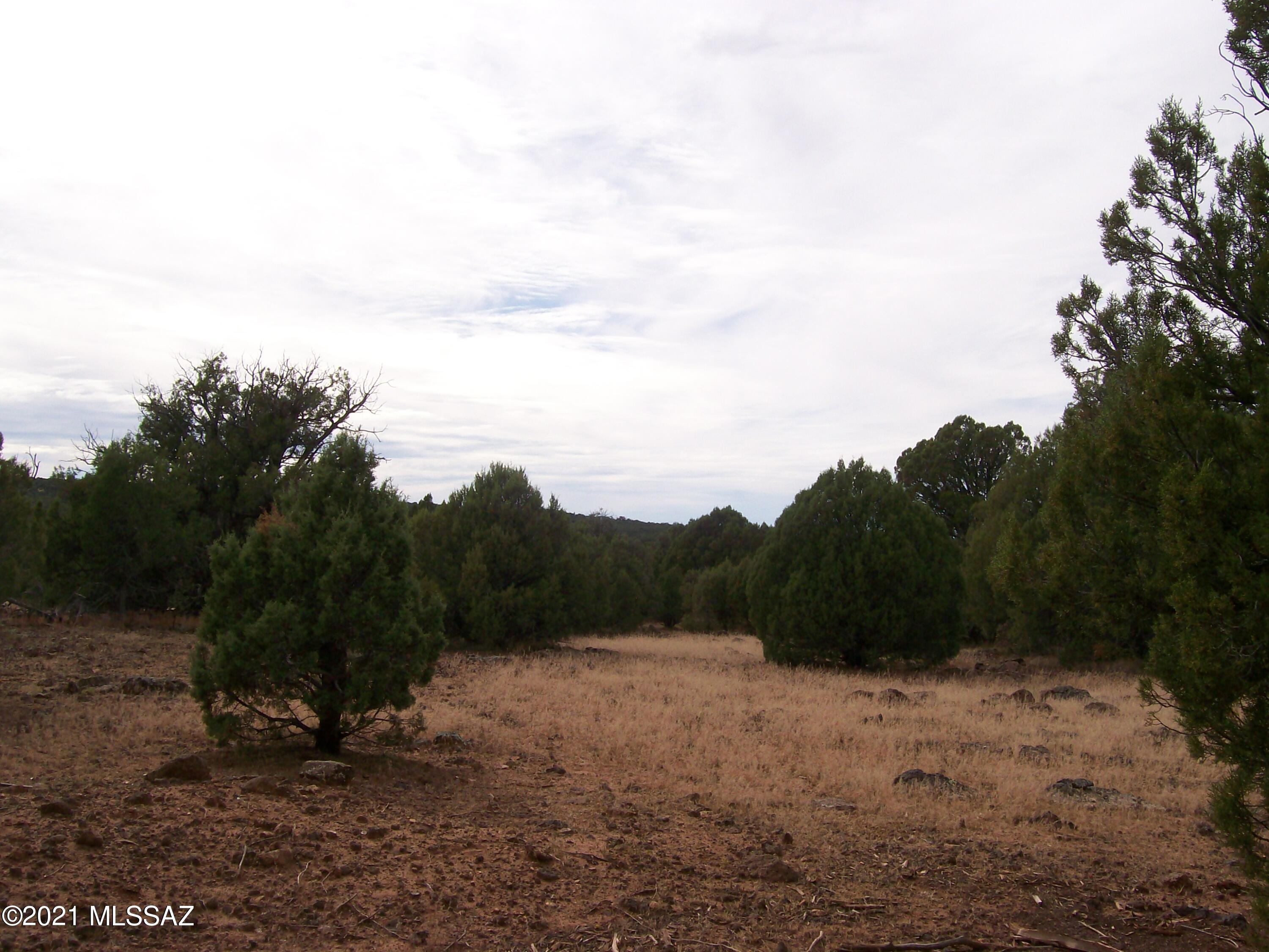1814 Pronghorn Road Show Low, AZ 85901 - Photo 6 of 10 Gallery Image 6