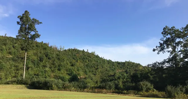 $350,000 | 23 South Wise Va 24293, Wise, VA 24293