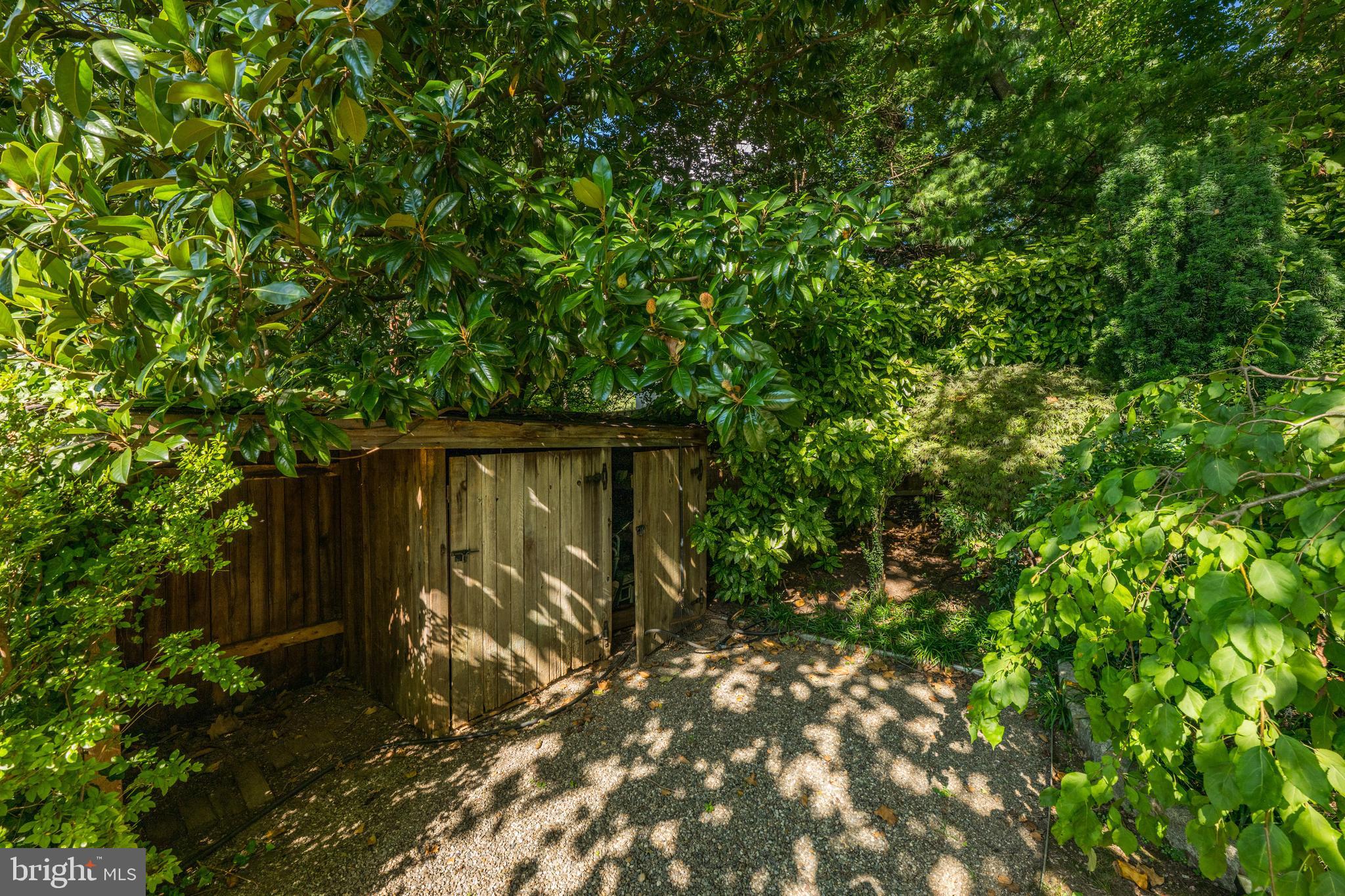3915 47th Street Northwest Washington, DC 20016 - Photo 34 of 40 a backyard of a house with lots of green space