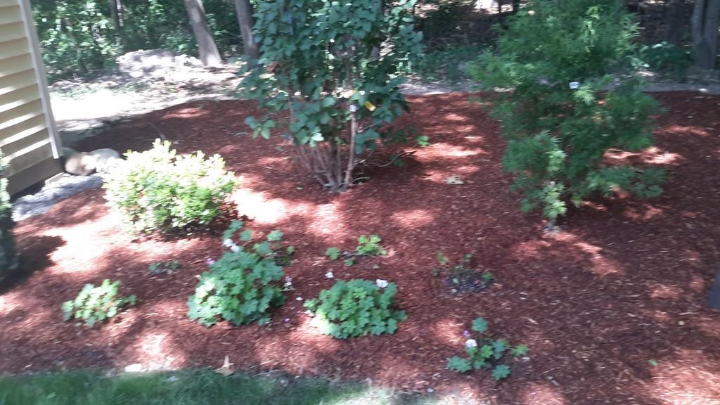 72 Crimson Road Billerica, MA 01821 - Photo 30 of 37
