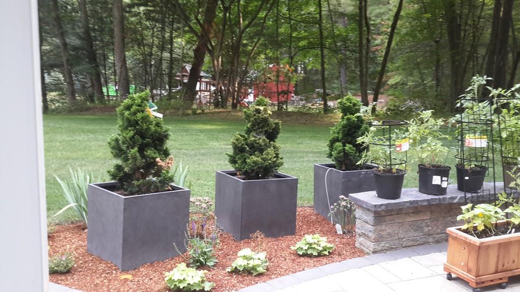 72 Crimson Road Billerica, MA 01821 - Photo 32 of 37