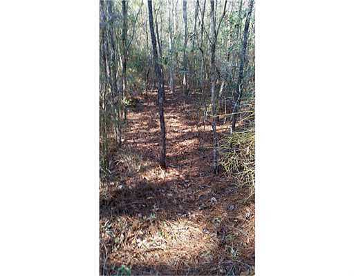 25327 Airey Tower Road Saucier, MS 39574 - Photo 3 of 6 Additional Photo