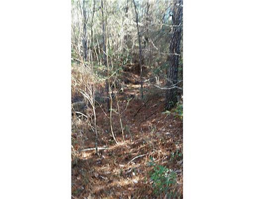 25327 Airey Tower Road Saucier, MS 39574 - Photo 4 of 6 Additional Photo