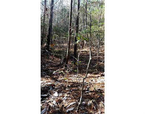 25327 Airey Tower Road Saucier, MS 39574 - Photo 5 of 6 Additional Photo