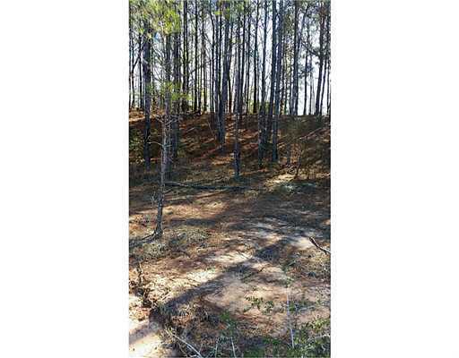 25327 Airey Tower Road Saucier, MS 39574 - Photo 6 of 6 Additional Photo