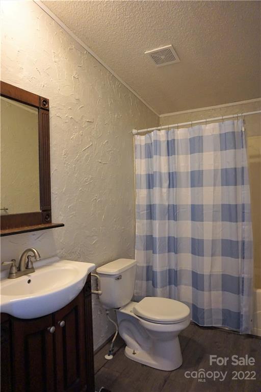 1291 Hines Road Clover, SC 29710 - Photo 18 of 26 a bathroom with a sink a toilet a mirror and shower curtain