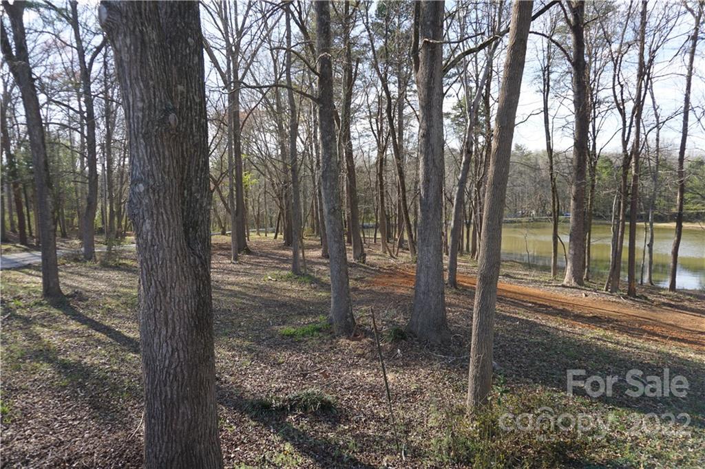 1291 Hines Road Clover, SC 29710 - Photo 25 of 26 a view of a forest