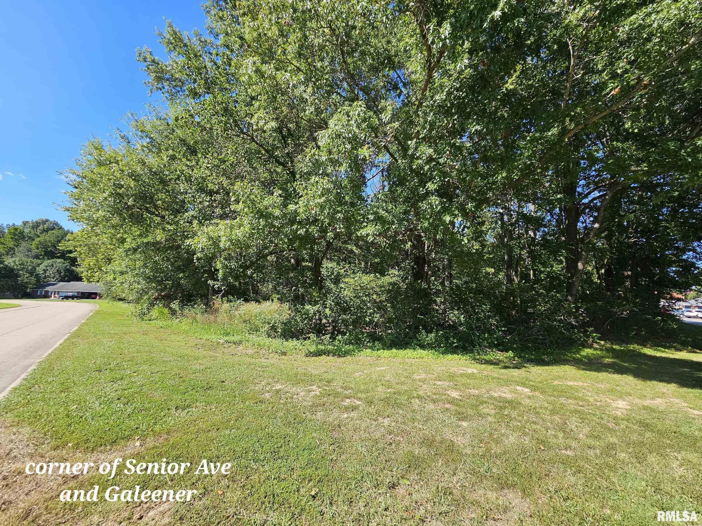 Tbd Galeener Street Vienna, IL 62995 - Photo 2 of 6