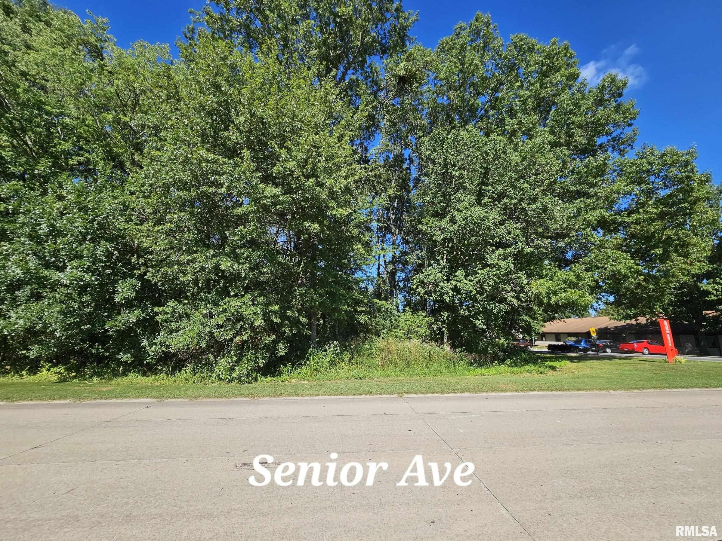 Tbd Galeener Street Vienna, IL 62995 - Photo 3 of 6